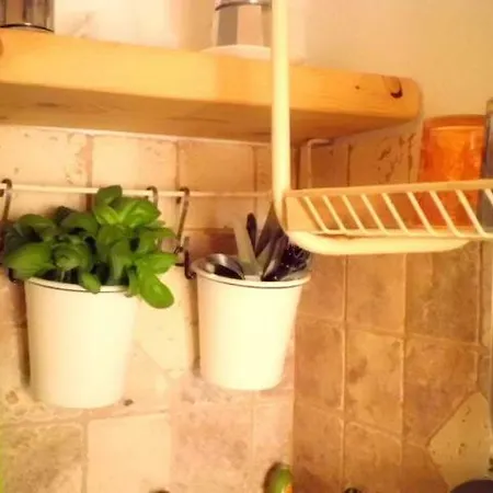 Alojamento de Turismo Rural Su'e Lentu Bosa